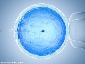 李景泰主任